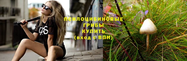 гашик Балабаново