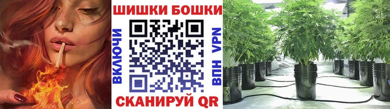 купить наркоту  блэк спрут зеркало  Бошки Шишки Ganja  Сим 